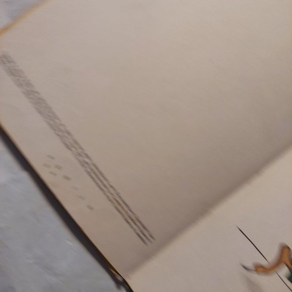 old hat new hat book - Picture 9 of 12